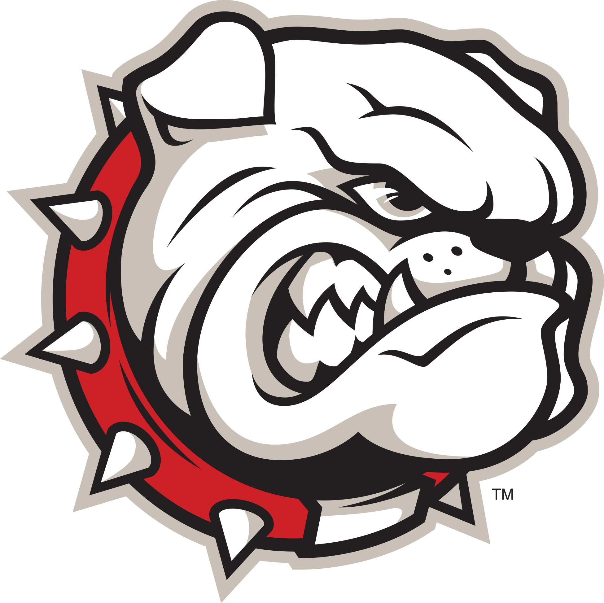 Team Logo